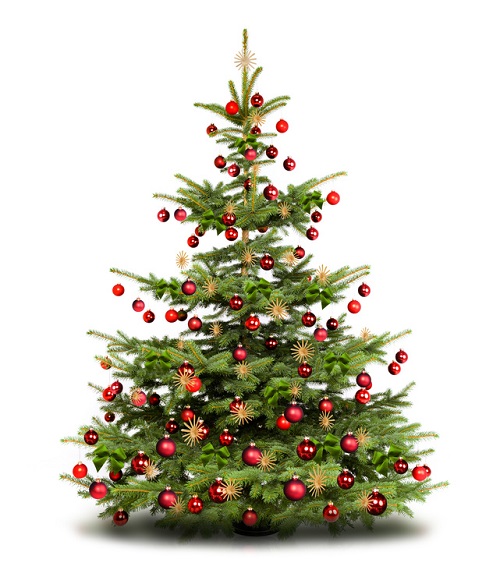Sapin de Noël Sapin de Noël