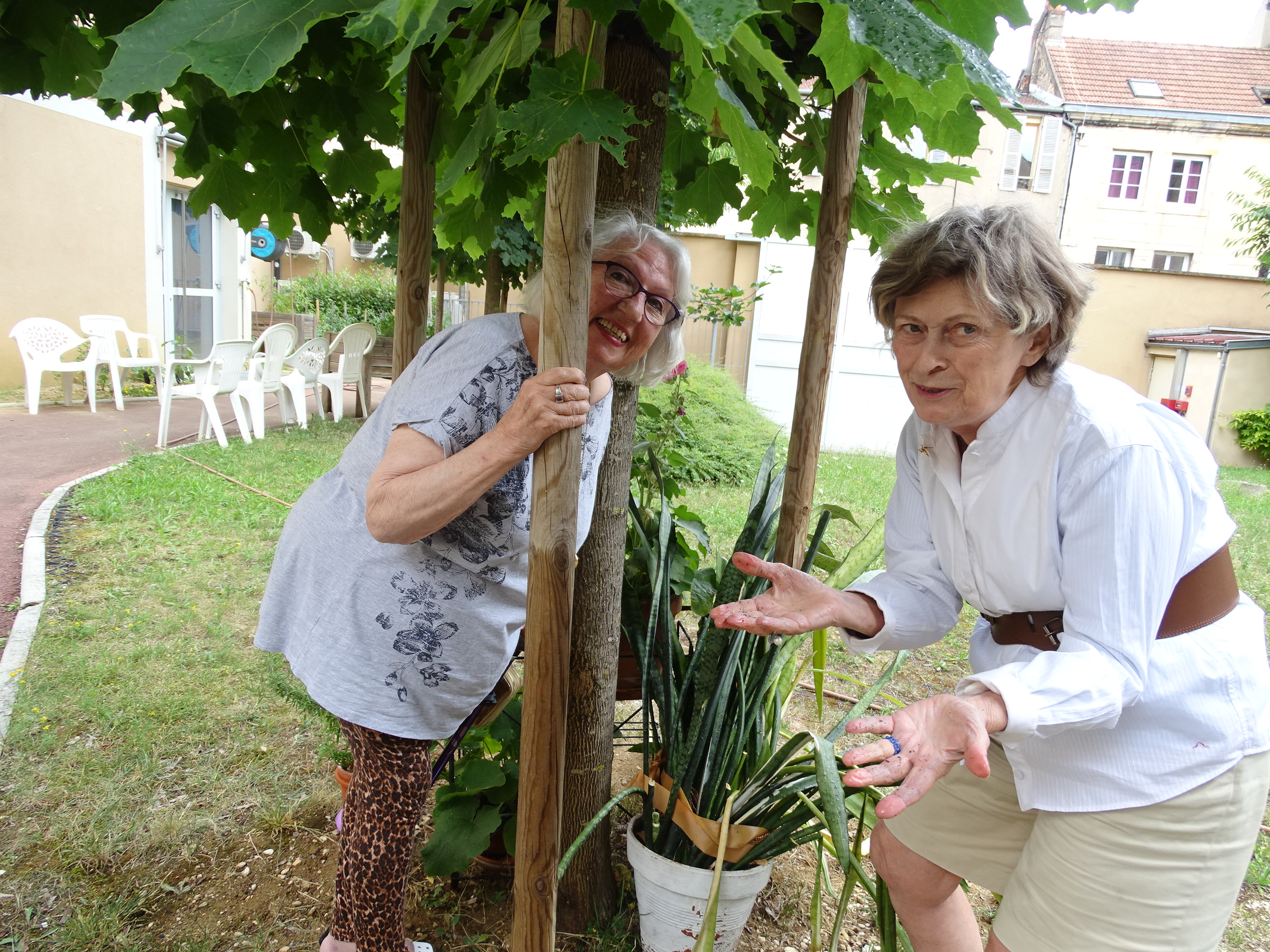 Le jardin s'éveille !
