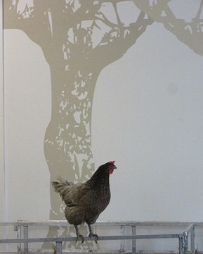La ferme Tiligolo au COS Alice Guy