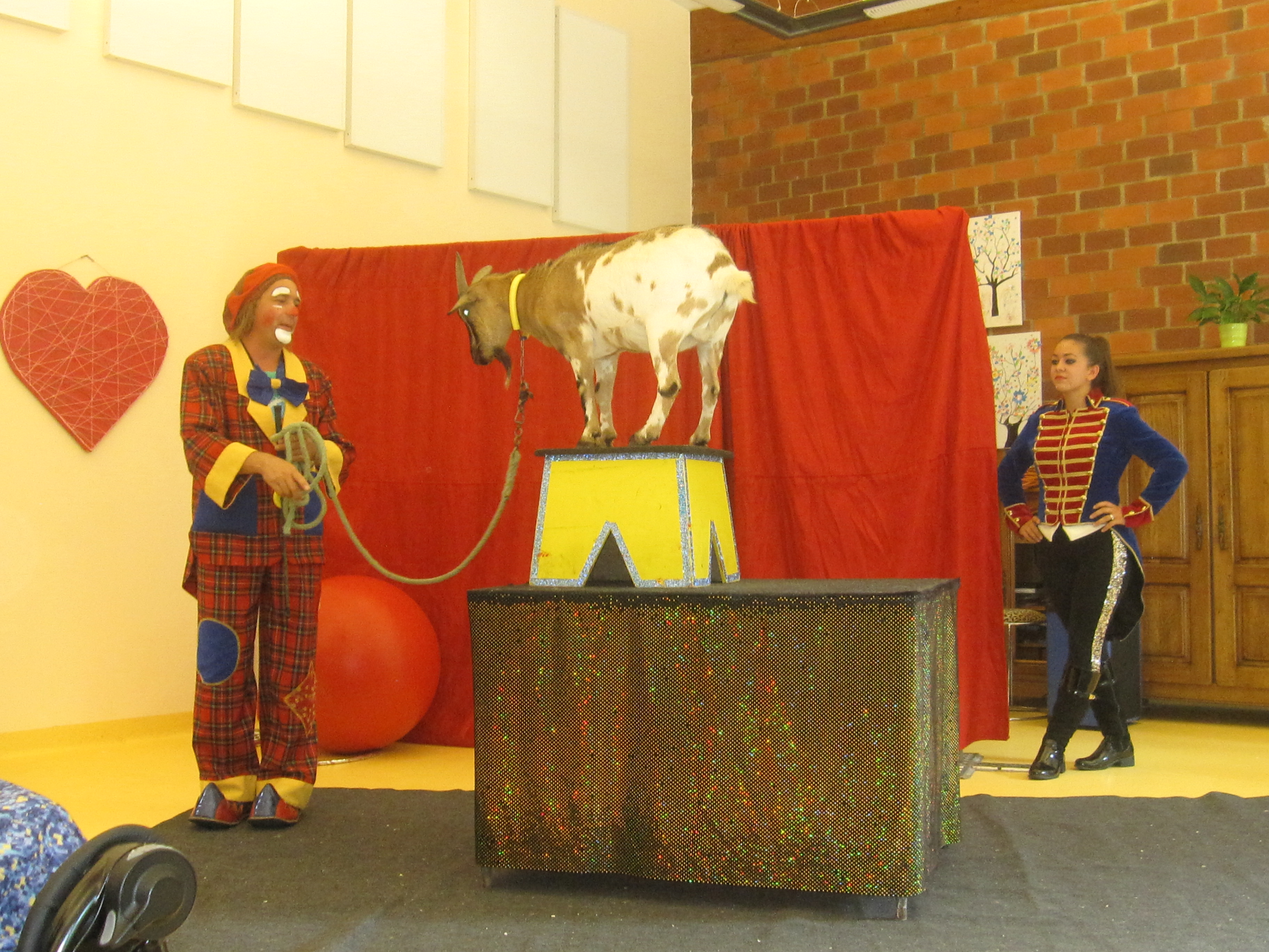 Un cirque familial pour un après-midi idéal !