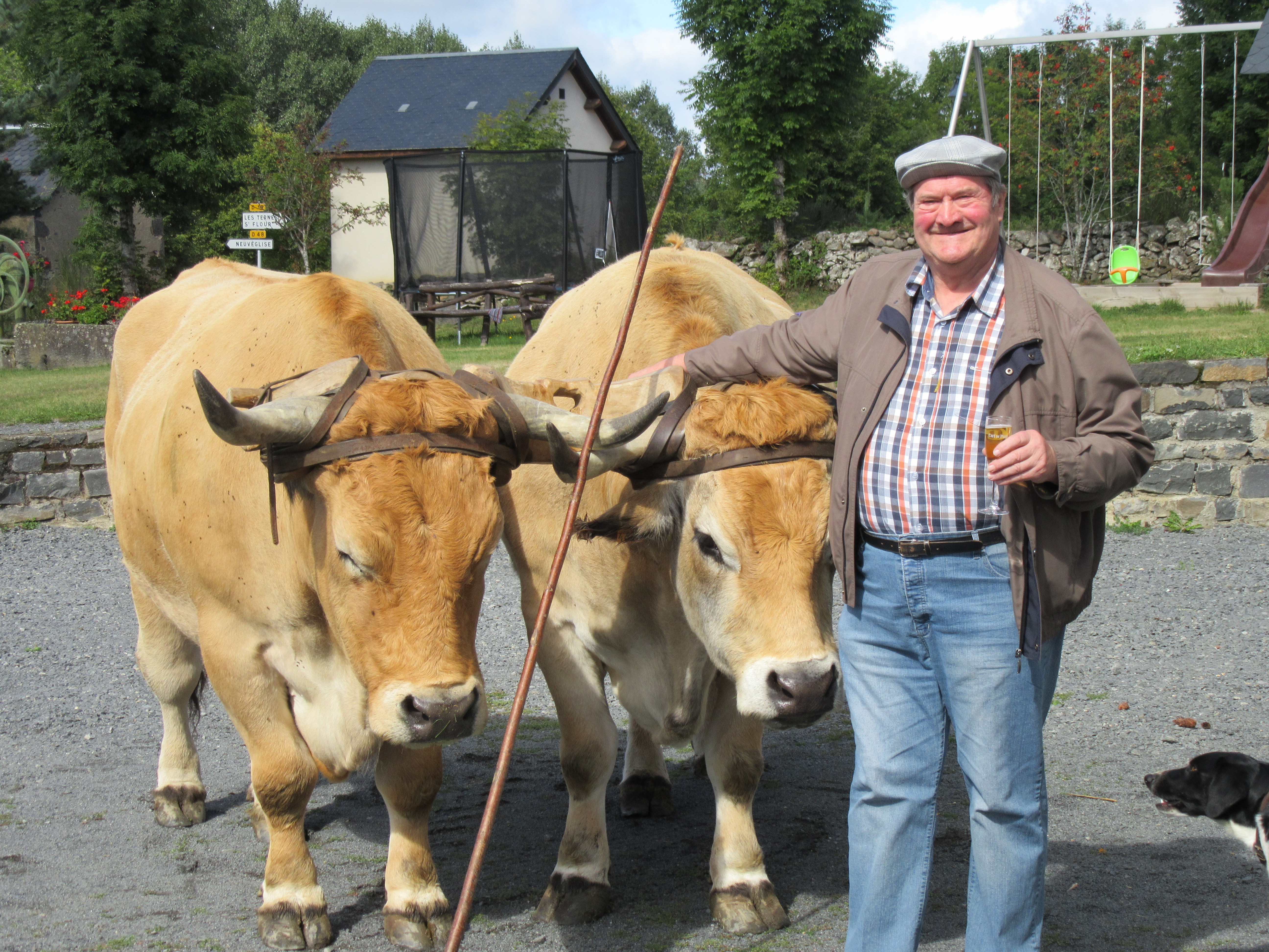 Repas de Fête pour les résidents de la Résidence la Colagne !