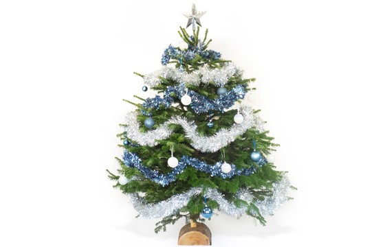 Sapin de Noël Sapin de Noël