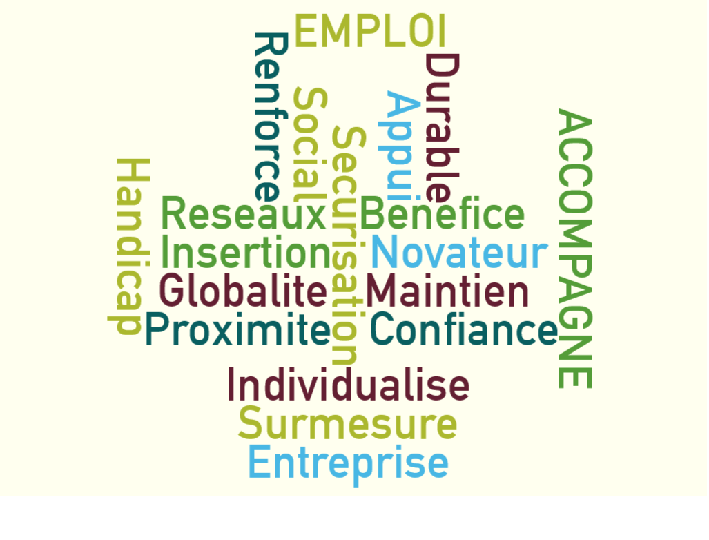 Emploi accompagné Emploi accompagné