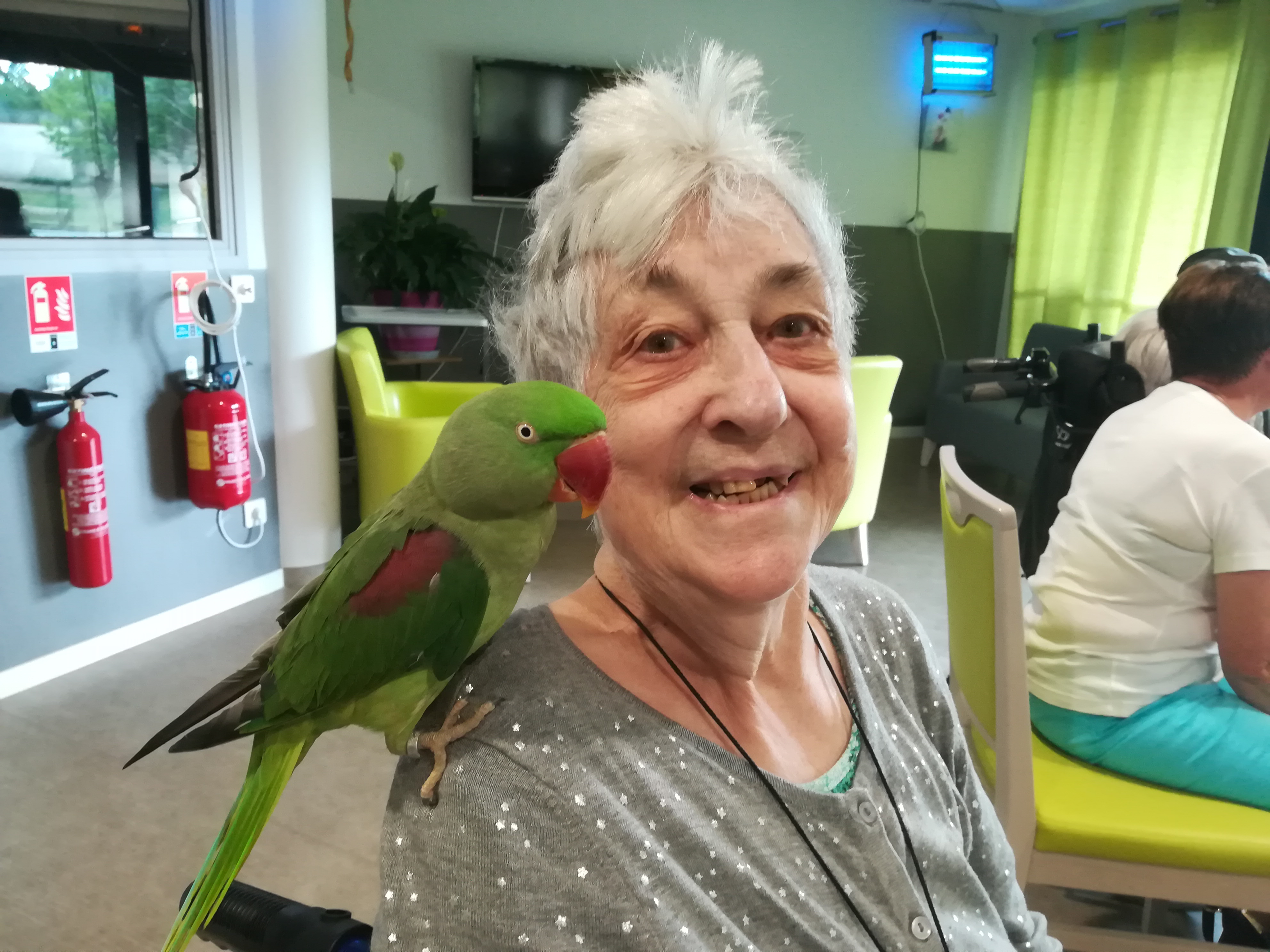 Visite des animaux Visite des animaux