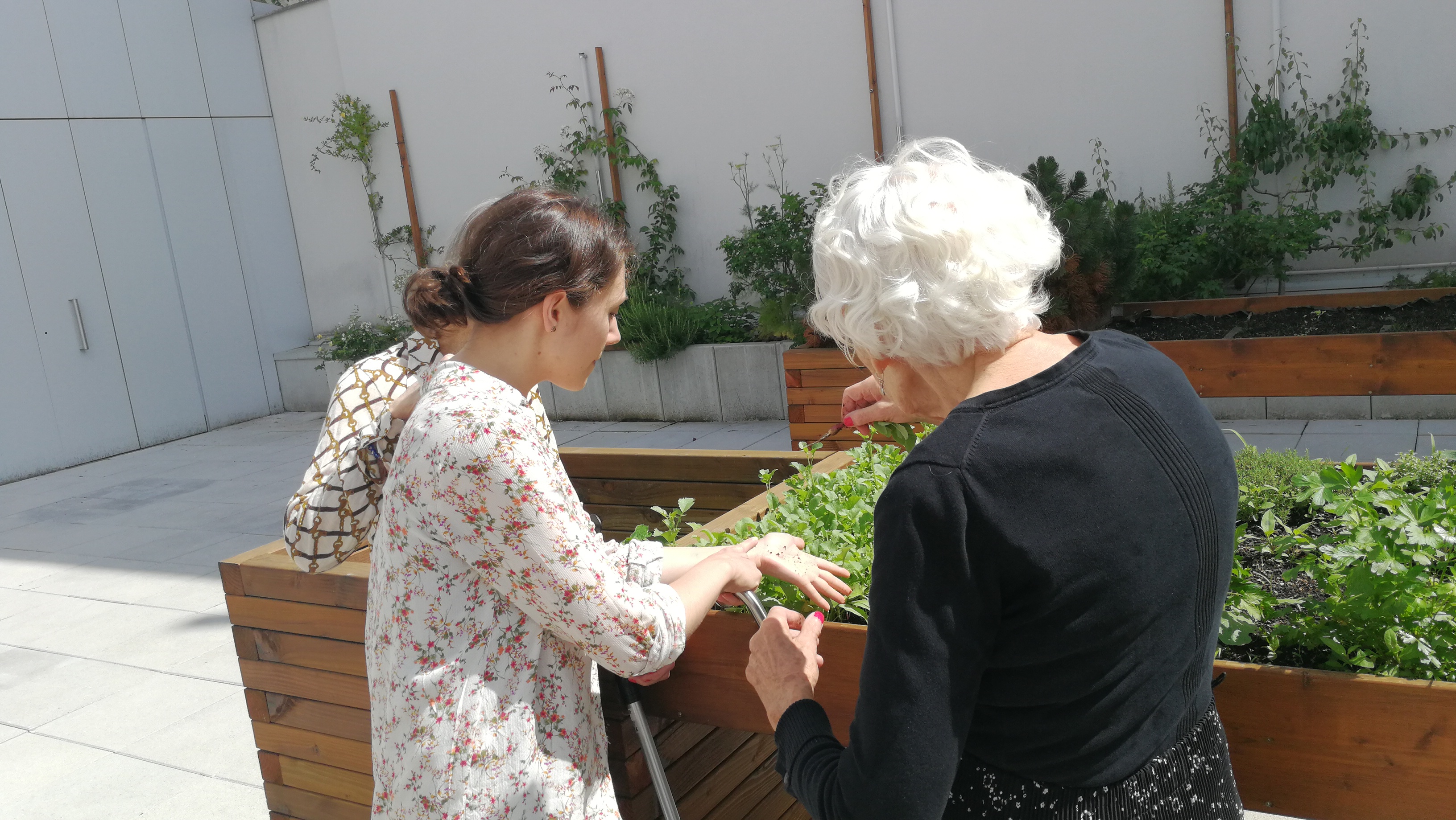 Les jardins du COS Les jardins du COS