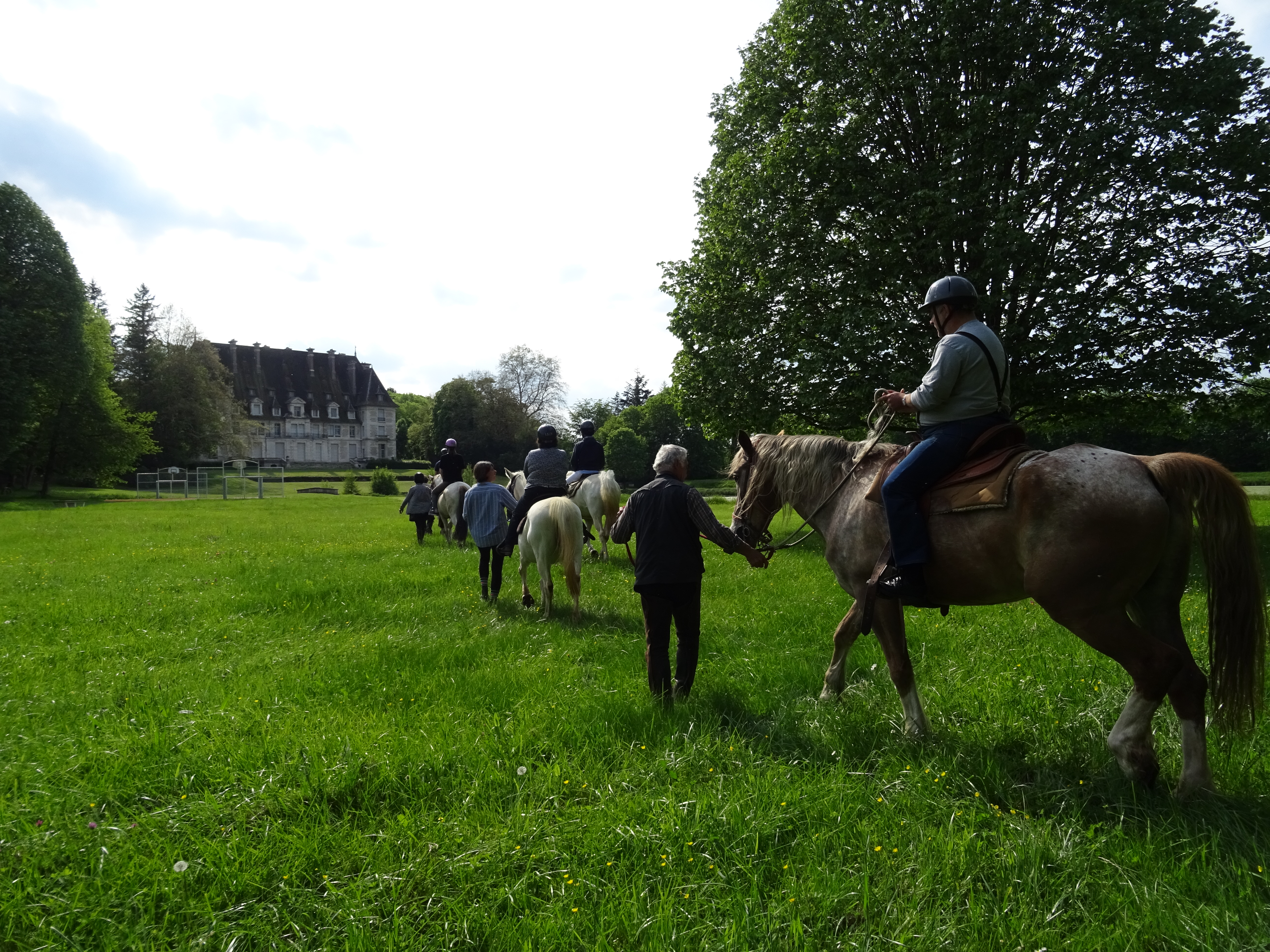 Approche et découverte du cheval avec initiation à l'équitation