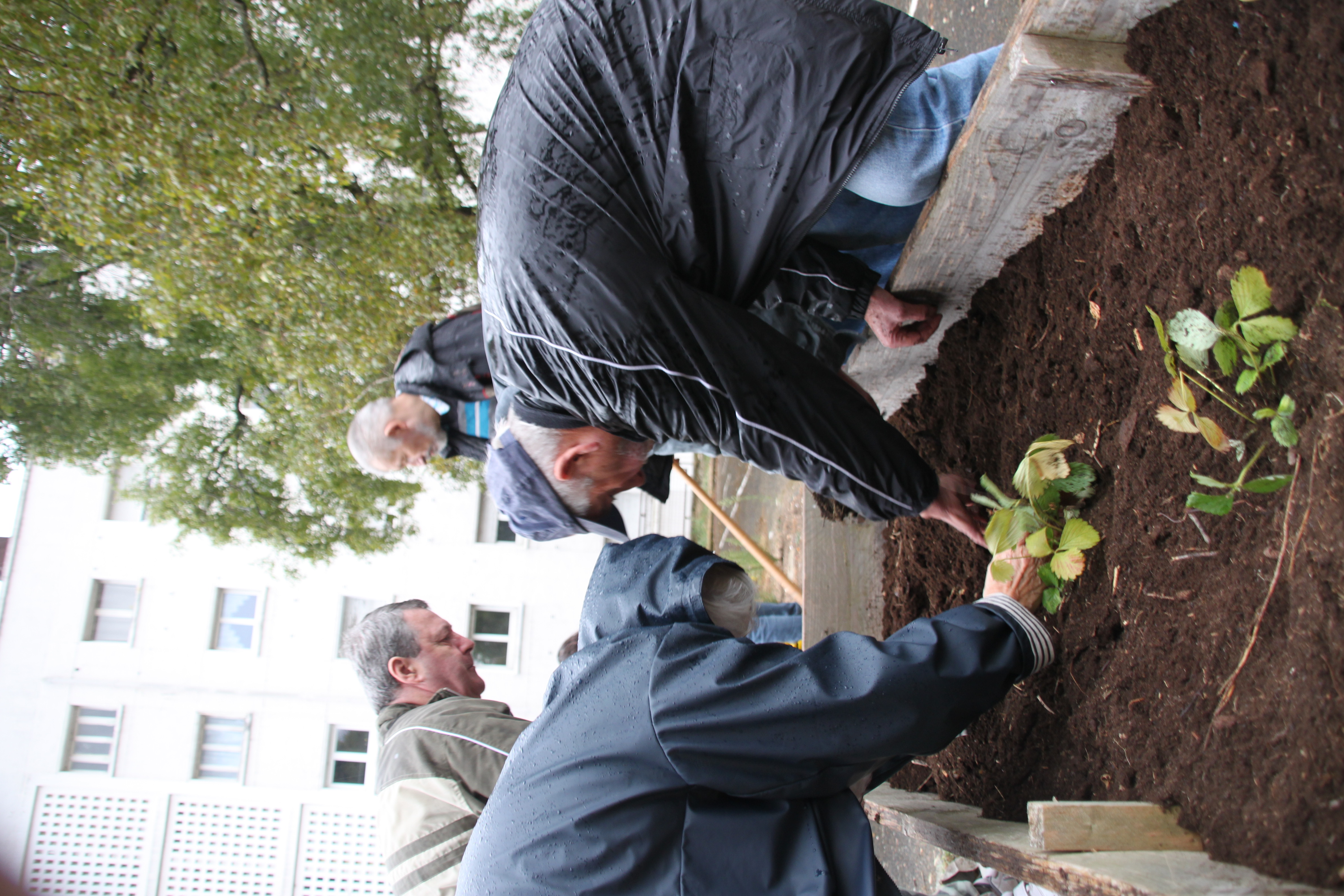Rencontre et jardinage 