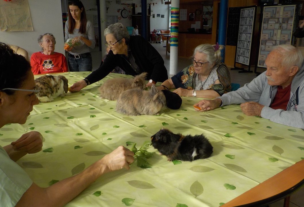 Atelier de médiation animale