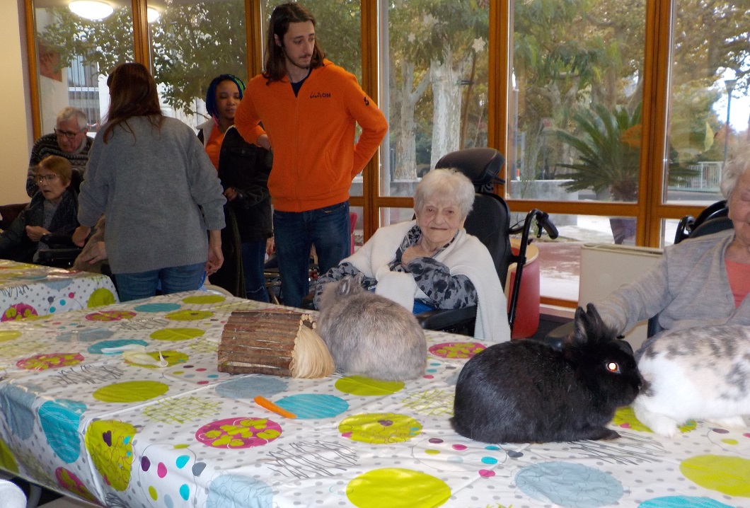 Atelier de médiation animale