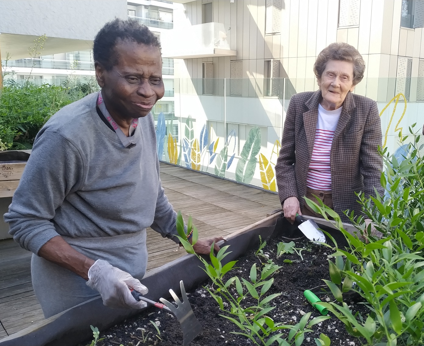 Plantation Semis Photo terrasse UVP