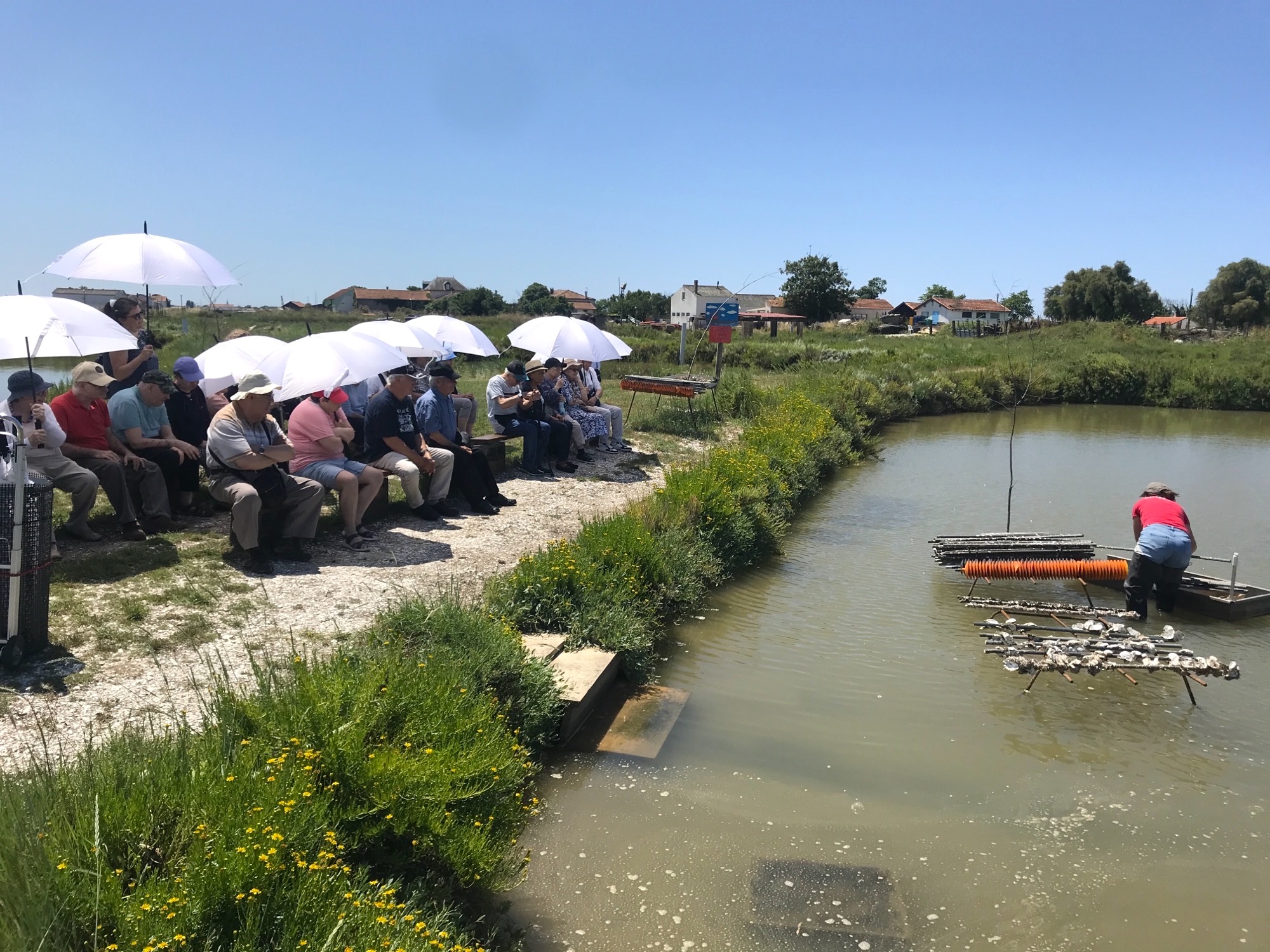 Visite de la cité des huîtres de Marennes Visite de la cité des huîtres de Marennes
