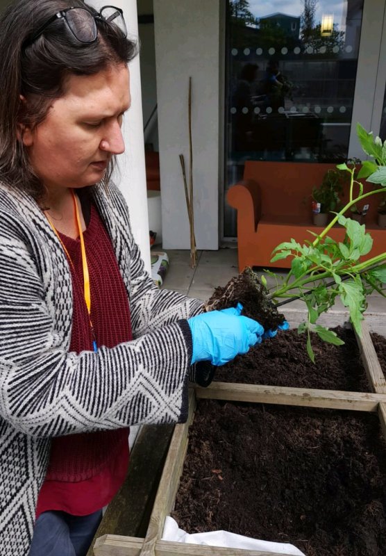 Activité potager