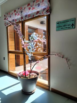 Au Garlaban, c’est toujours le printemps Au Garlaban, c’est toujours le printemps