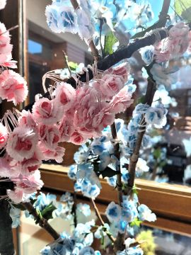 Au Garlaban, c’est toujours le printemps Au Garlaban, c’est toujours le printemps