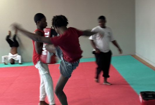 Initiation au TaekWondo