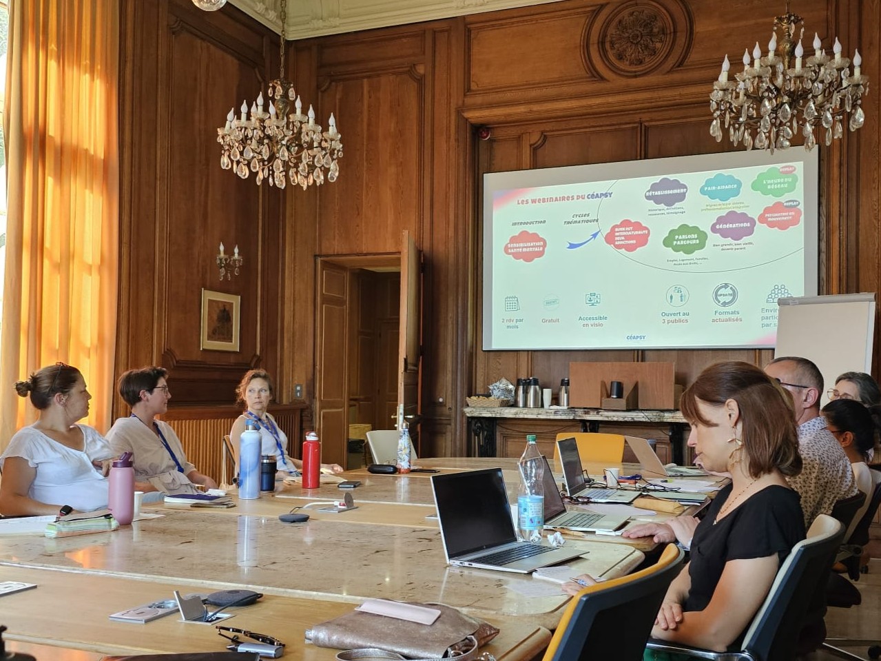 Santé mentale : partager les pratiques avec le CEAPSY pour construire des réponses adaptées