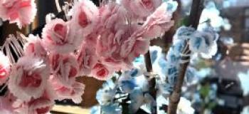 Au Garlaban, c’est toujours le printemps