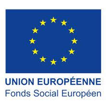 FSE Europe s'engage drapeau