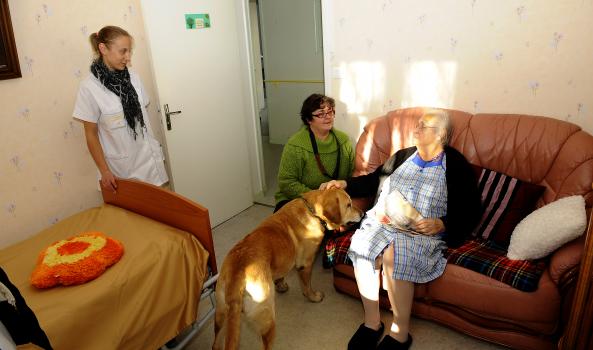 Résidente au COS Sainte-Marthe Fleurac