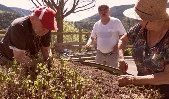 Atelier jardinage