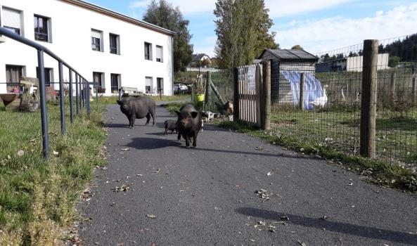 Le jardin