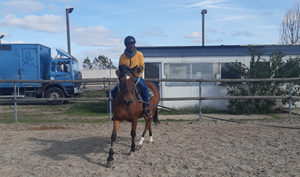 Activité équitation