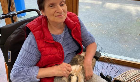 Prunelle, la lapine et l'entretien de son espace de vie
