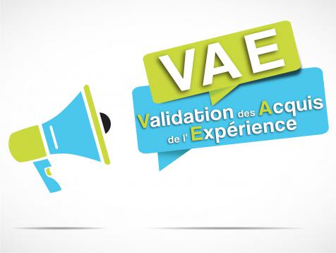 VAE
