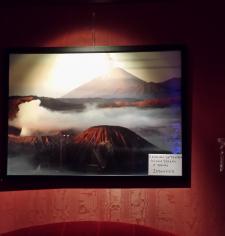Exposition de photos de Catherine FROCHOT