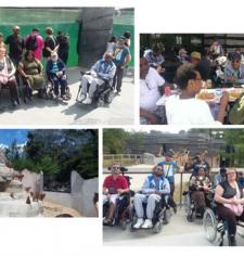 Visite du zoo de Vincennes 