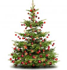 Sapin de Noël