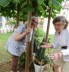 Le jardin s'éveille !