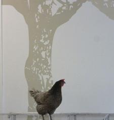 La ferme Tiligolo au COS Alice Guy