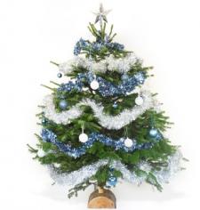 Sapin de Noël