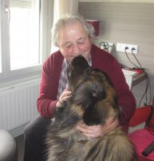 chiens visiteurs