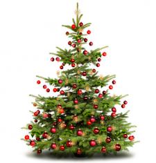 Entrefleuristes & Fêtes de fin d'année