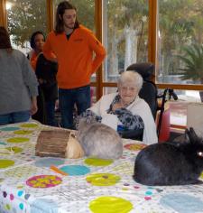 Atelier de médiation animale