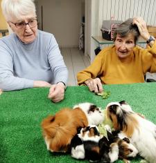 Ce sont les animaux qui viennent à nous !