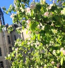 Le Parc du COS Saint-Maur se réveille 