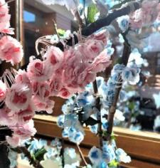 Au Garlaban, c’est toujours le printemps